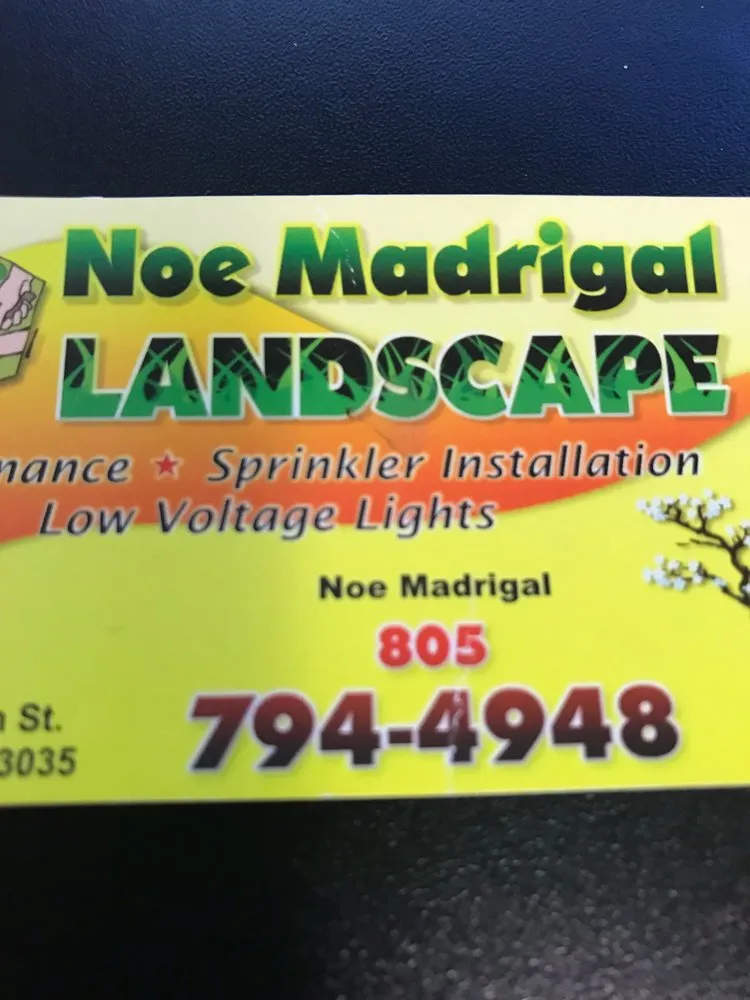 Custom landscape design for year-round maintenance across Oxnard, CA - Noe Madrigal Landscape
