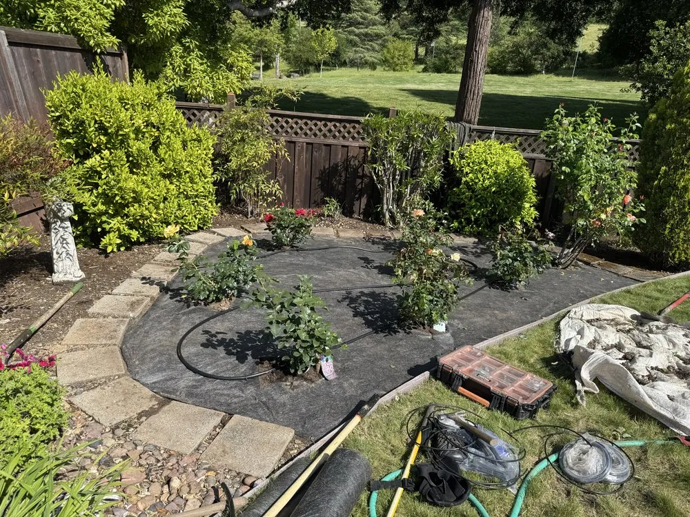 Custom residential landscaping experts serving Novato, CA - Noe Rodas Gardening
