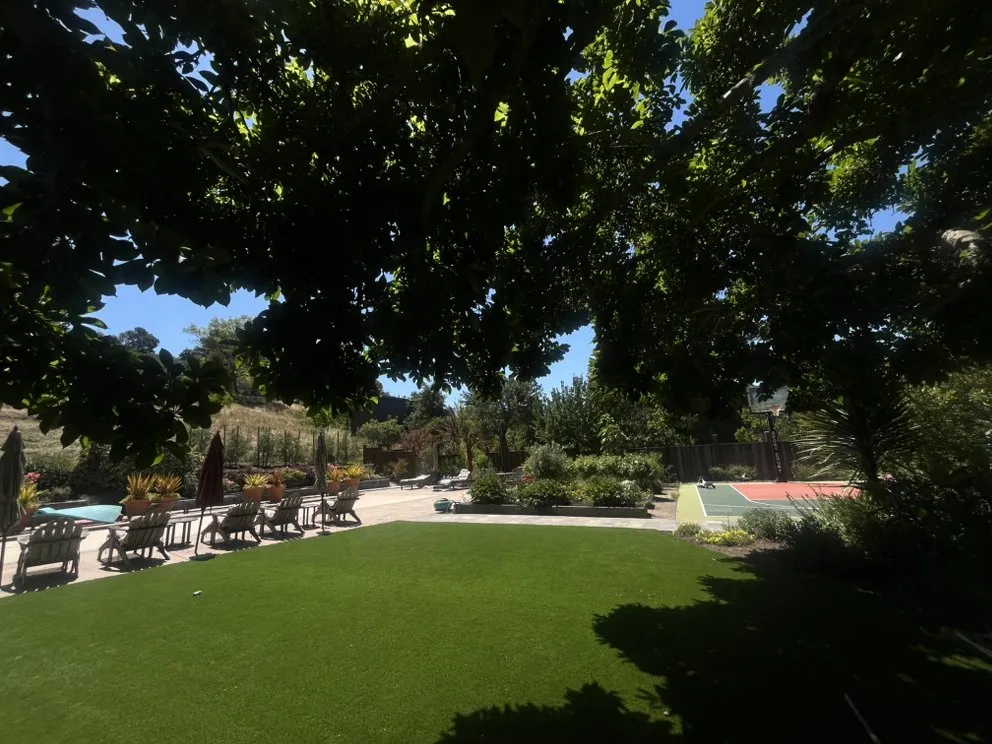 Trusted lawn care service for homes in Novato, CA by Noe Rodas Gardening