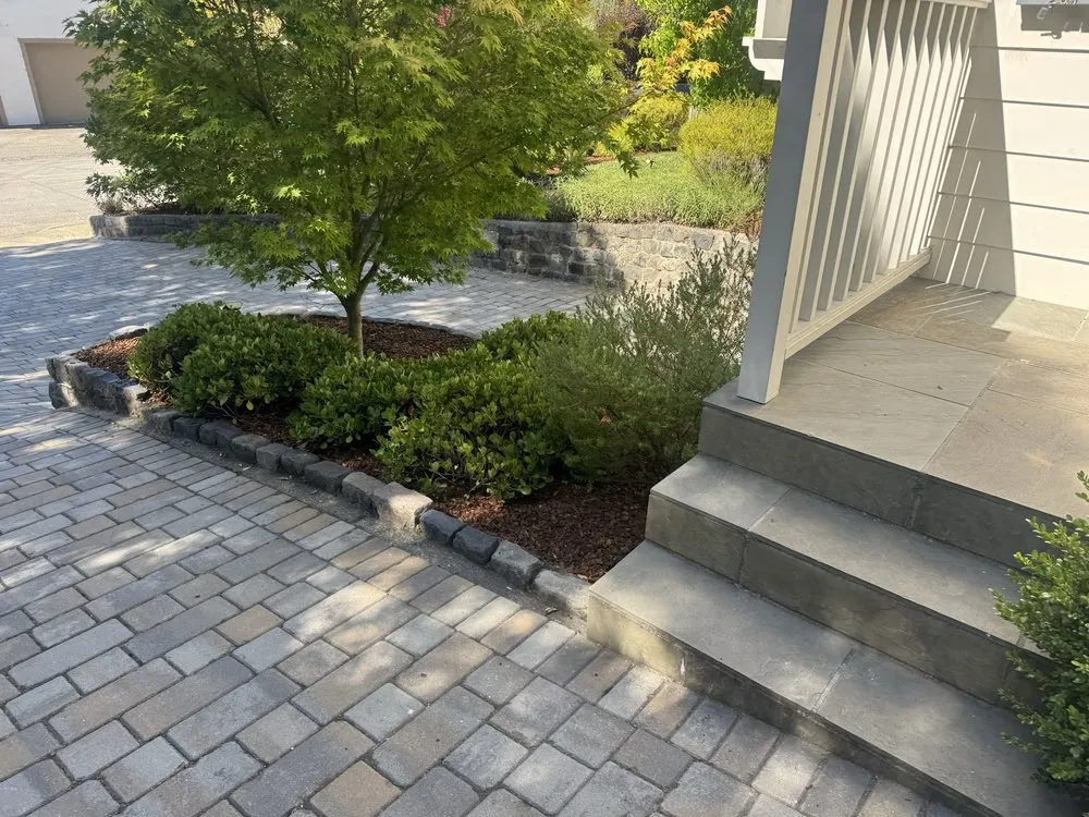 Affordable outdoor landscaping in Novato, CA by Noe Rodas Gardening