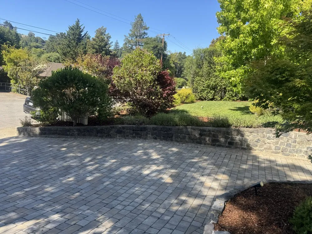 Affordable landscaping services experts serving Novato, CA - Noe Rodas Gardening