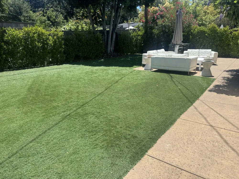 Trusted yard maintenance near you across Novato, CA - Noe Rodas Gardening