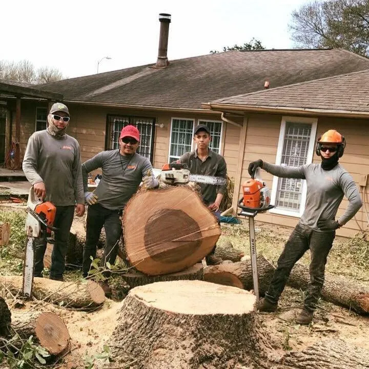 Expert garden landscaping experts serving Katy, TX - Noe Tree Service and Landscaping