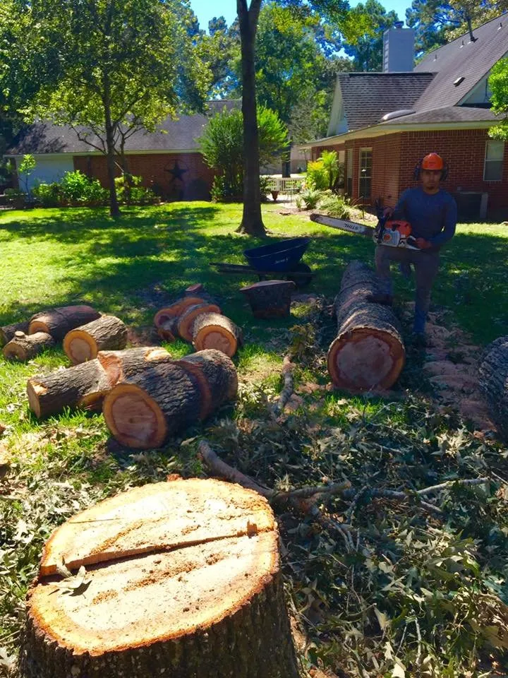 Reliable yard maintenance in Katy, TX - Noe Tree Service and Landscaping