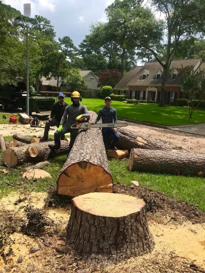 Reliable yard cleanup service in Katy, TX by Noe Tree Service and Landscaping