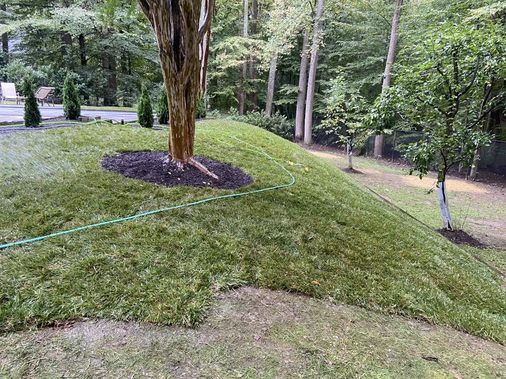 Expert landscape design for year-round maintenance in Gaithersburg, MD by Noel Landscaping