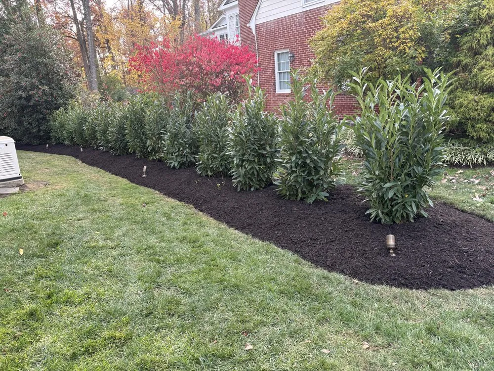 Custom yard cleanup service experts serving Gaithersburg, MD - Noel Landscaping