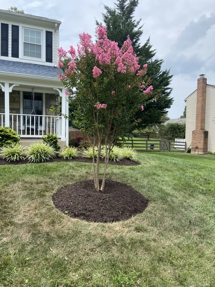 Trusted landscaping services for homes across Gaithersburg, MD - Noel Landscaping