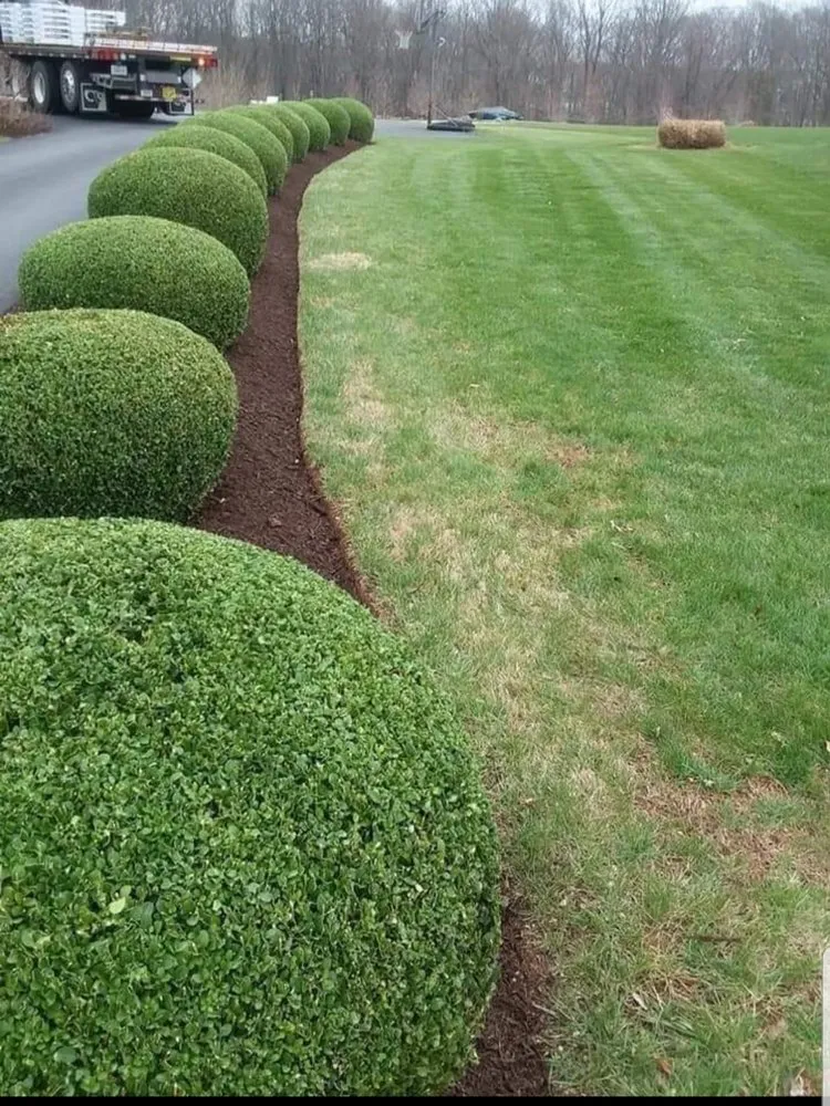 Affordable landscaping services for beautiful yards in Wheaton-Glenmont, MD by Noel Services