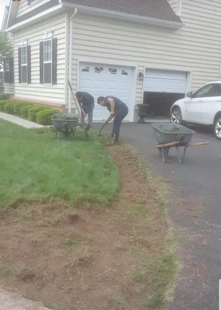 Custom landscaping services in Wheaton-Glenmont, MD - Noel Services