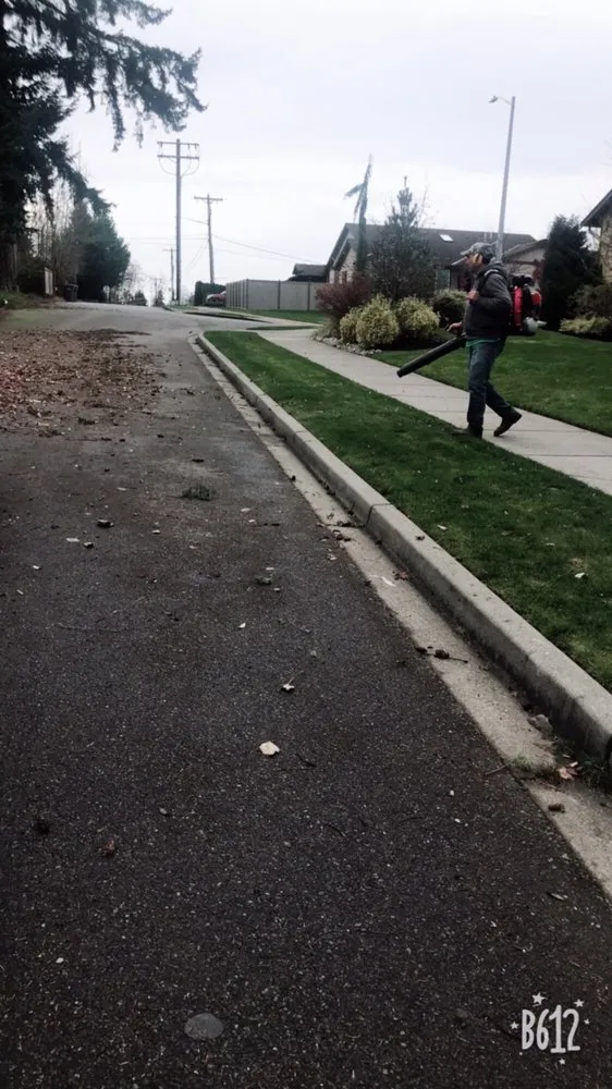 Affordable yard maintenance in Everett, WA by Noel's Landscape and Construction