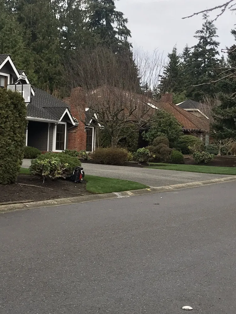 Professional garden landscaping in Everett, WA - Noel's Landscape and Construction