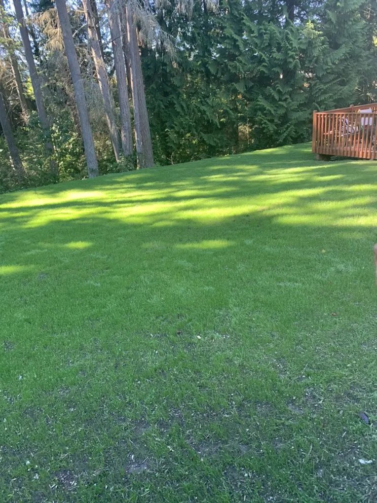 Trusted landscaping services for year-round maintenance in Everett, WA by Noel's Landscape and Construction