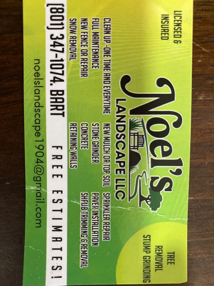 Reliable yard maintenance in Salt Lake City, UT by Noels Landscape