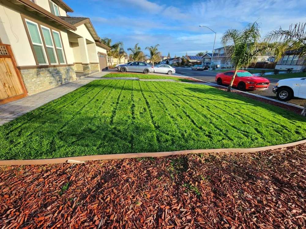 Custom garden landscaping for year-round maintenance in Tracy, CA by Noe's Gardening Services