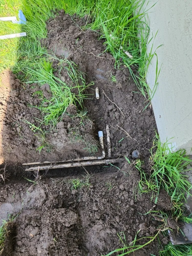 Top-rated yard maintenance in Tracy, CA - Noe's Gardening Services