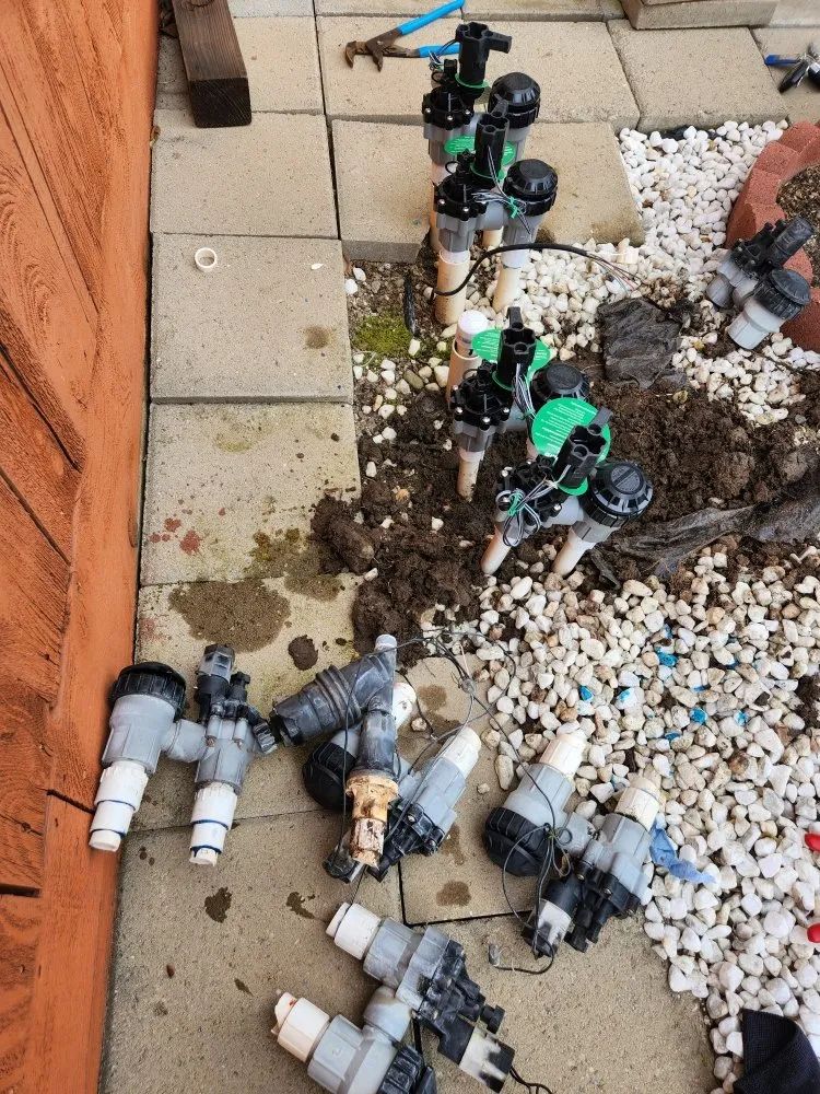 Top-rated yard cleanup service for year-round maintenance across Tracy, CA - Noe's Gardening Services