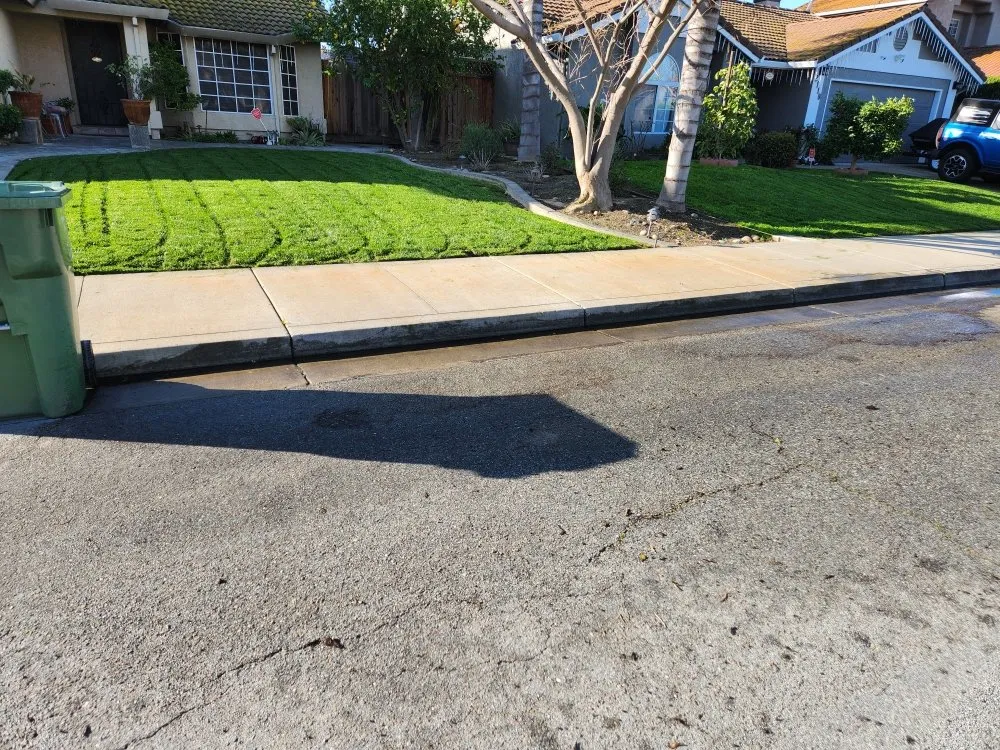 Local landscape installation in Tracy, CA by Noe's Gardening Services