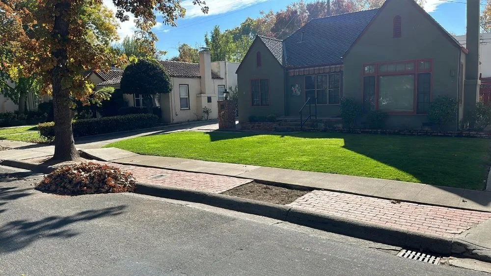 Professional yard maintenance experts serving Tracy, CA - Noe's Gardening Services