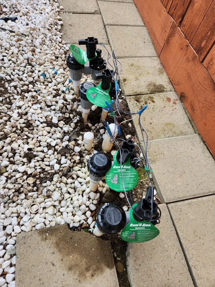 Expert residential landscaping in Tracy, CA - Noe's Gardening Services