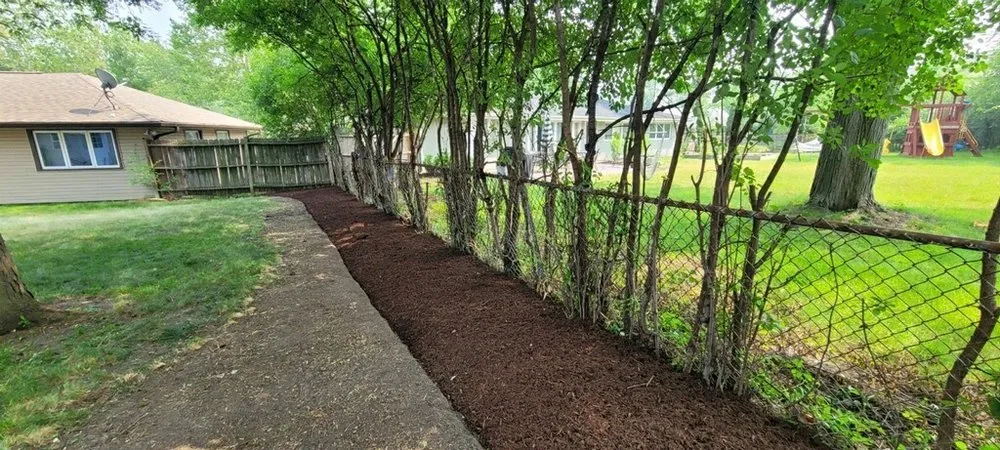 Custom yard cleanup service in Bolingbrook, IL by Noe's Lawn & Landscaping