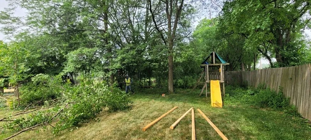 Trusted yard cleanup service near you in Bolingbrook, IL by Noe's Lawn & Landscaping