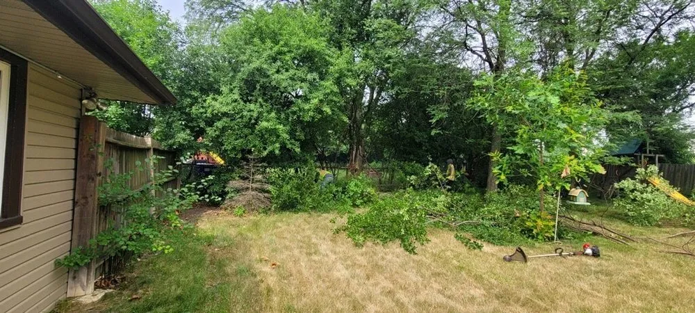 Affordable garden landscaping for year-round maintenance across Bolingbrook, IL - Noe's Lawn & Landscaping