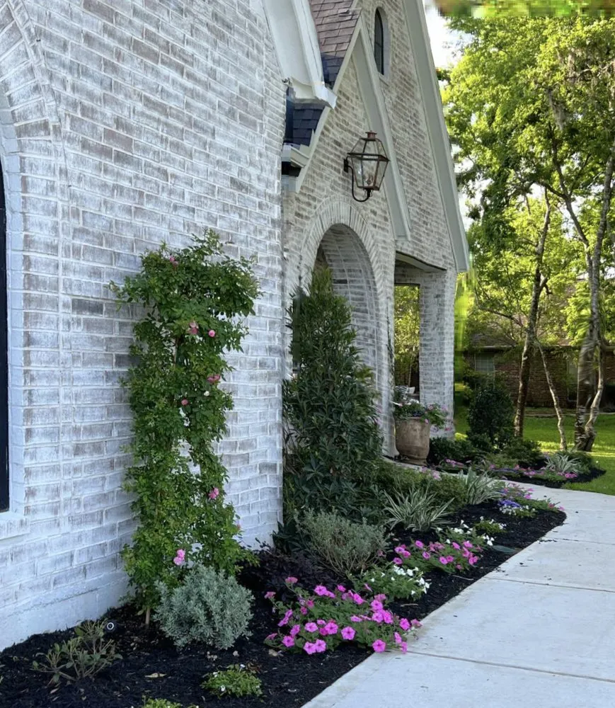 Top-rated yard maintenance for beautiful yards in Rosenberg, TX by Noe's Lawn Care
