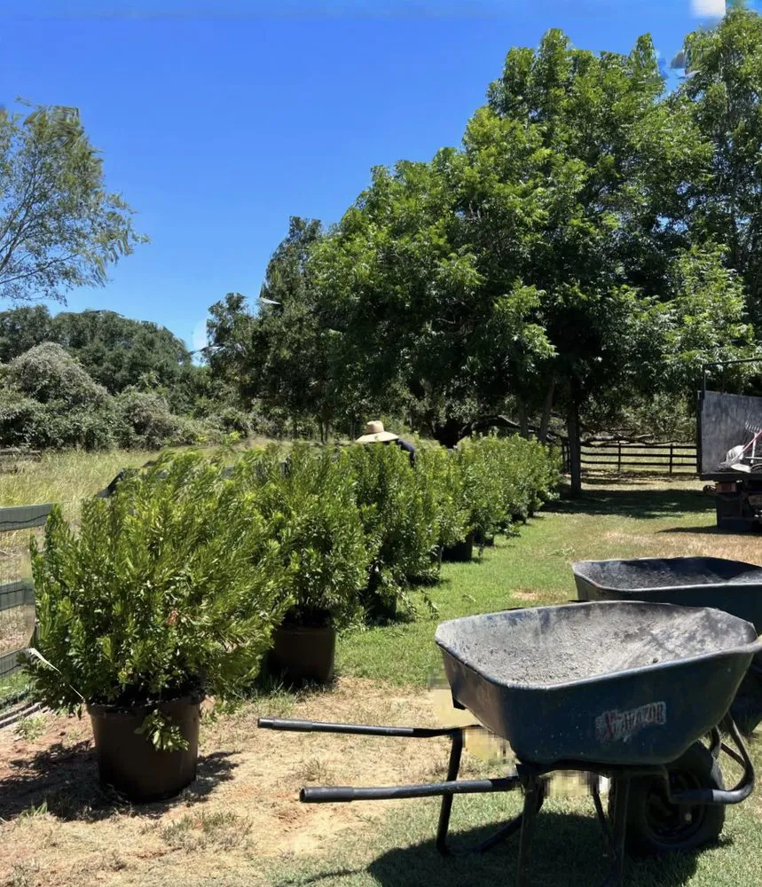 Custom landscaping services in Rosenberg, TX - Noe's Lawn Care