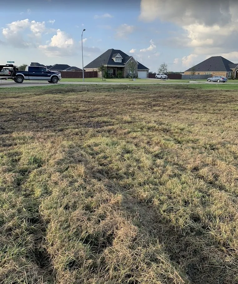 Expert yard maintenance in Rosenberg, TX - Noe's Lawn Care