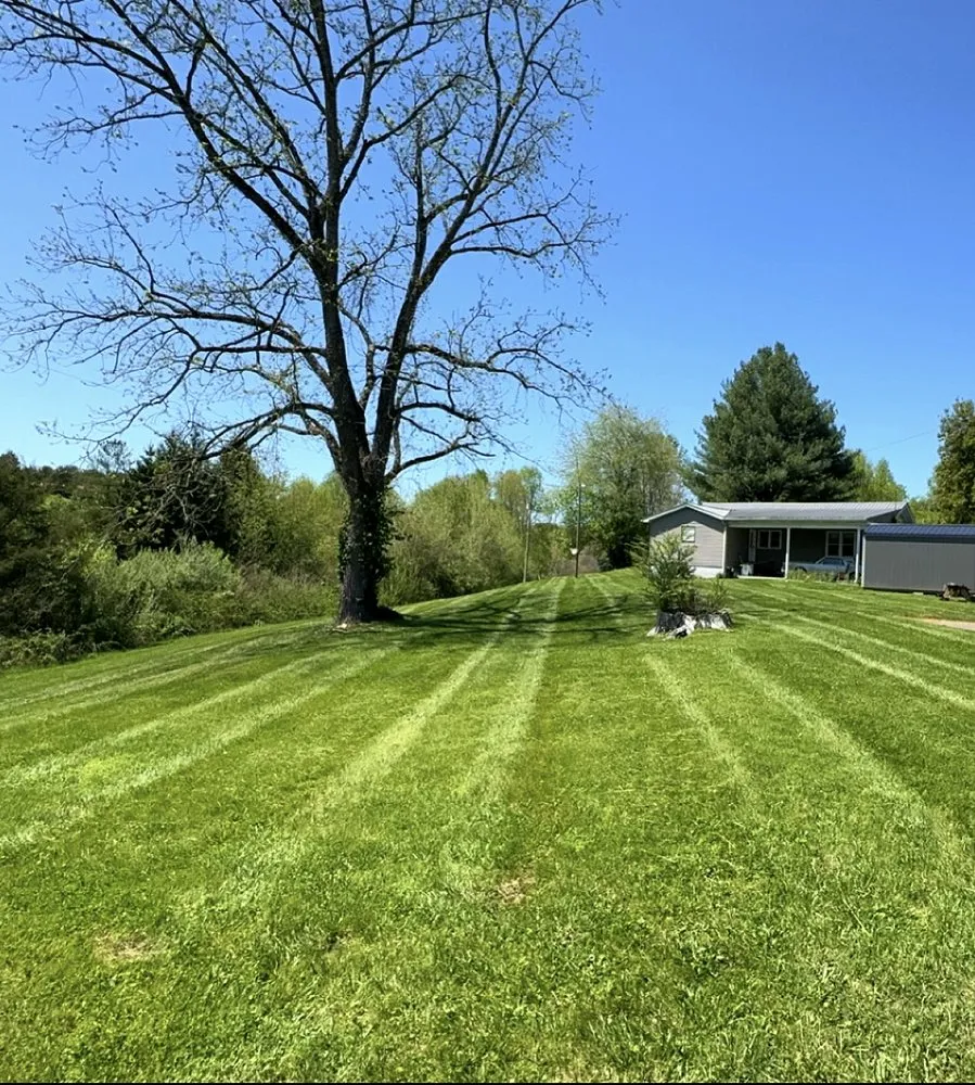Reliable yard cleanup service experts serving Tazewell, TN - Noe’s Lawn Service