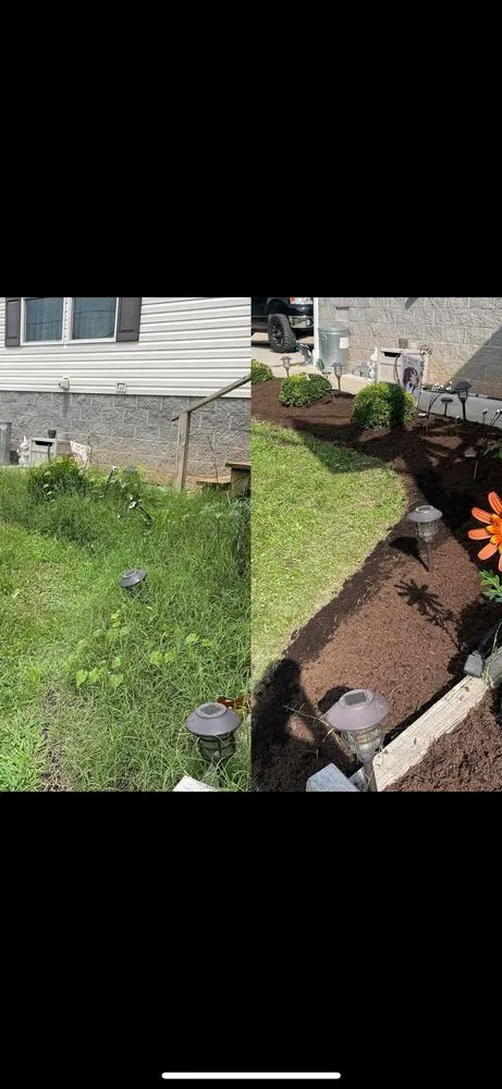 Affordable lawn care service in Tazewell, TN - Noe’s Lawn Service