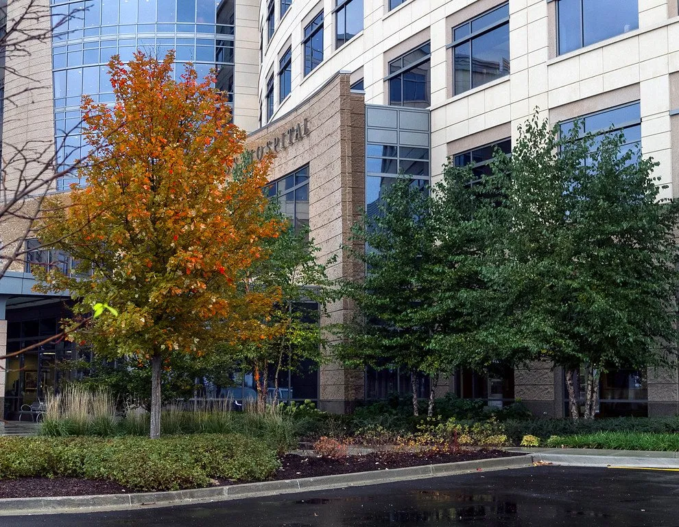 Local yard maintenance for homes in New Lenox, IL by Nogas Landscaping