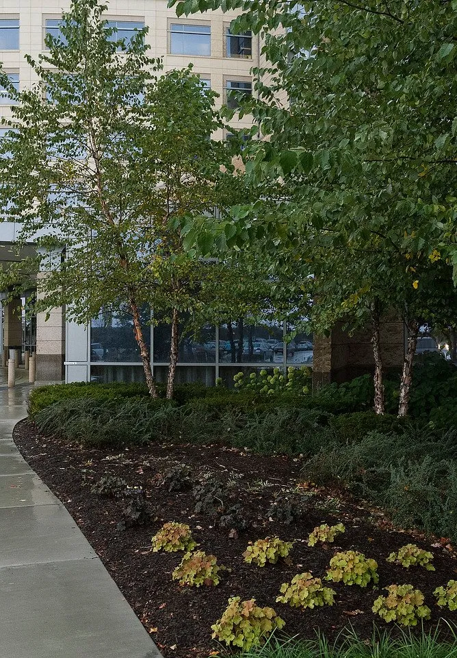 Expert garden landscaping for homes across New Lenox, IL - Nogas Landscaping