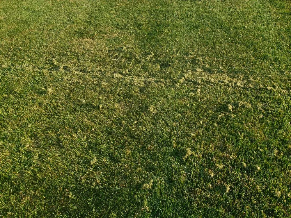 Professional garden landscaping in New Lenox, IL - Nogas Landscaping