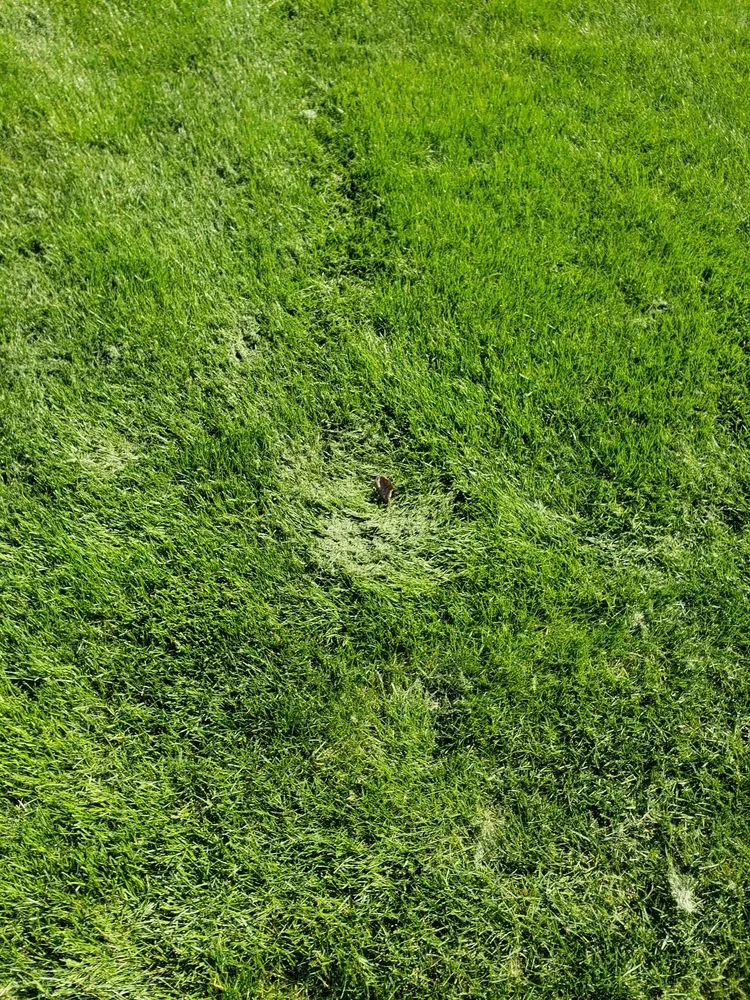 Reliable garden landscaping in New Lenox, IL by Nogas Landscaping