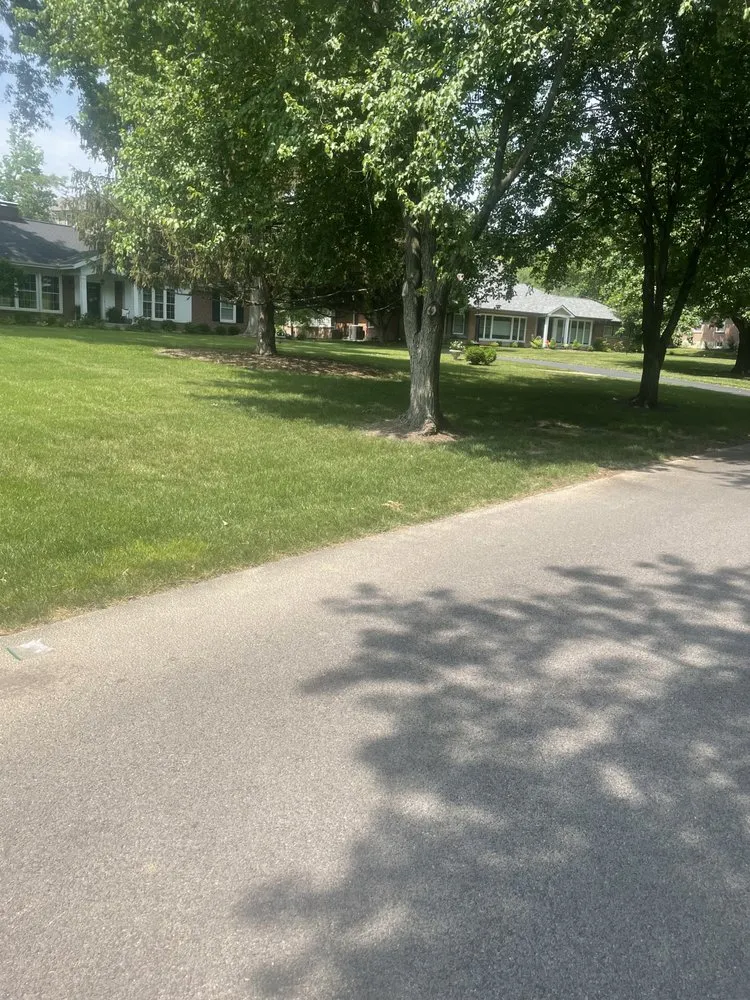 Expert yard cleanup service in Saint Louis, MO by Nojoke Landscaping and Lawn Care