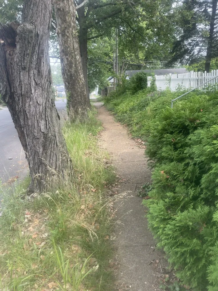 Affordable landscape design experts serving Saint Louis, MO - Nojoke Landscaping and Lawn Care