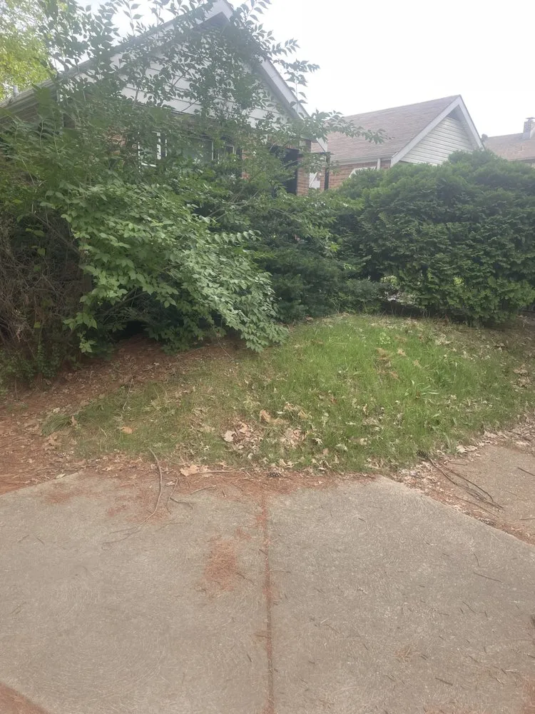 Expert landscape installation with custom design in Saint Louis, MO by Nojoke Landscaping and Lawn Care