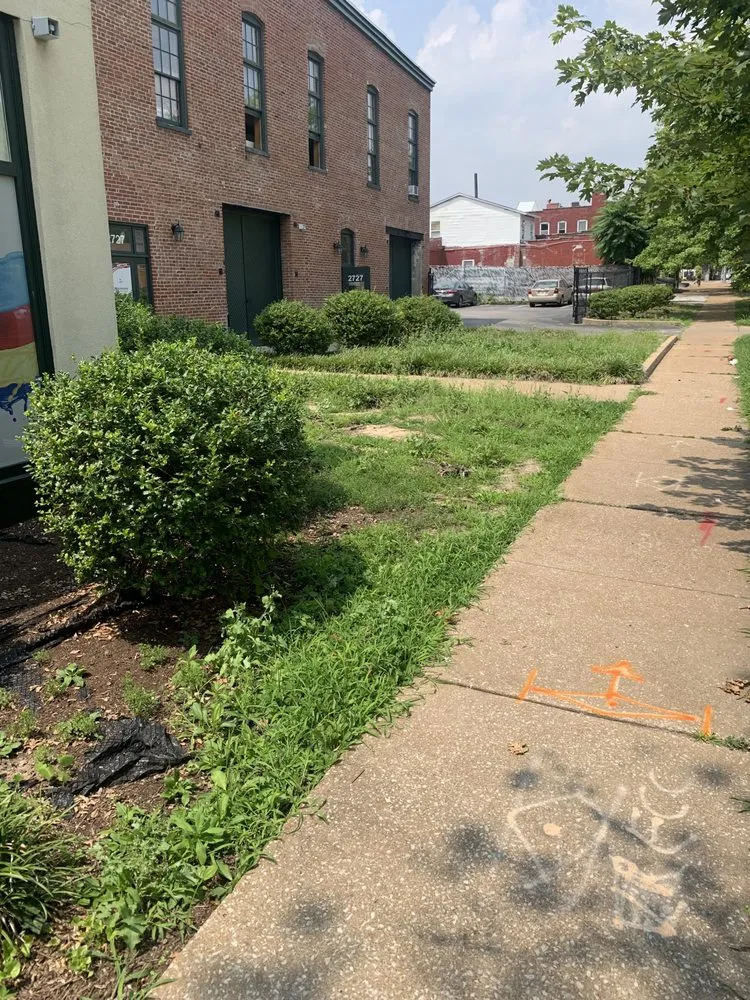 Reliable lawn care service in Saint Louis, MO - Nojoke Landscaping and Lawn Care