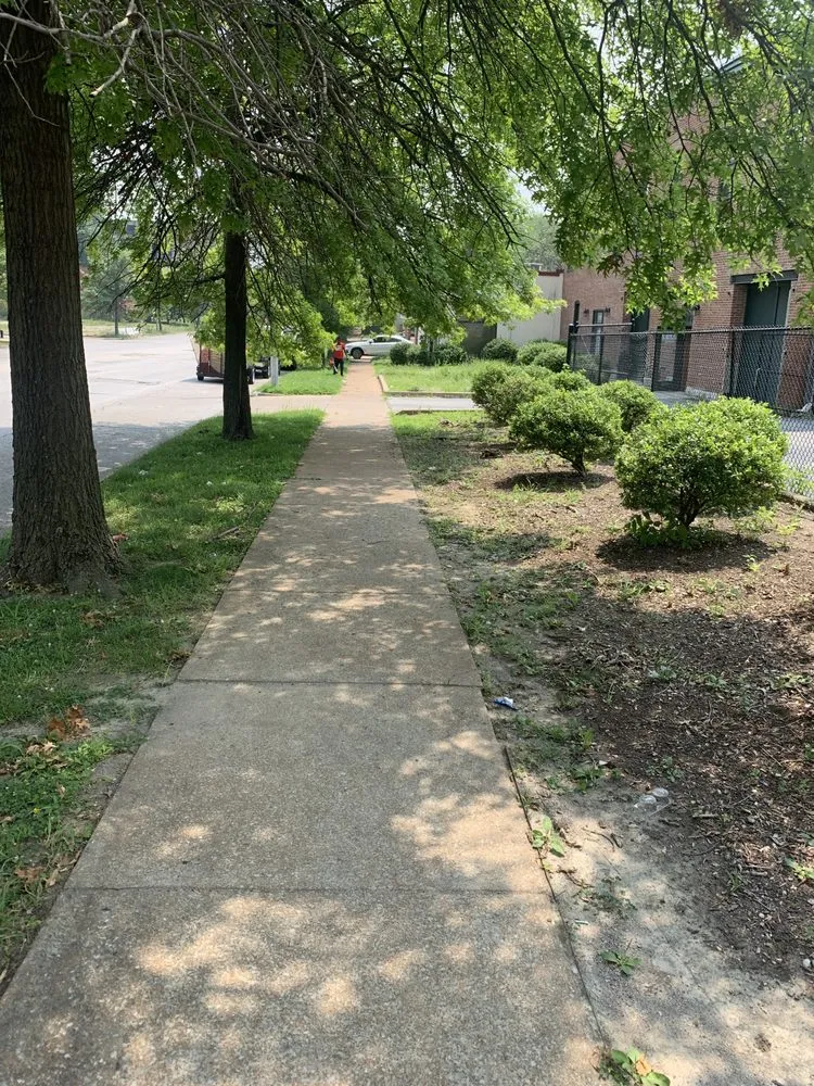 Professional landscape design for homes in Saint Louis, MO by Nojoke Landscaping and Lawn Care