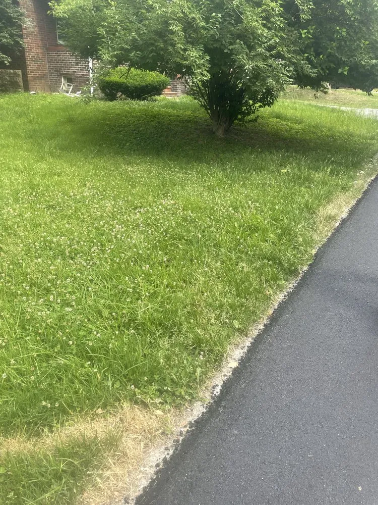 Affordable residential landscaping near you in Saint Louis, MO by Nojoke Landscaping and Lawn Care