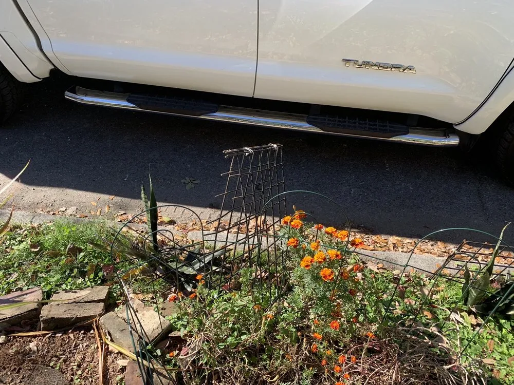 Local landscaping services experts serving New Orleans, LA - Nola landworks