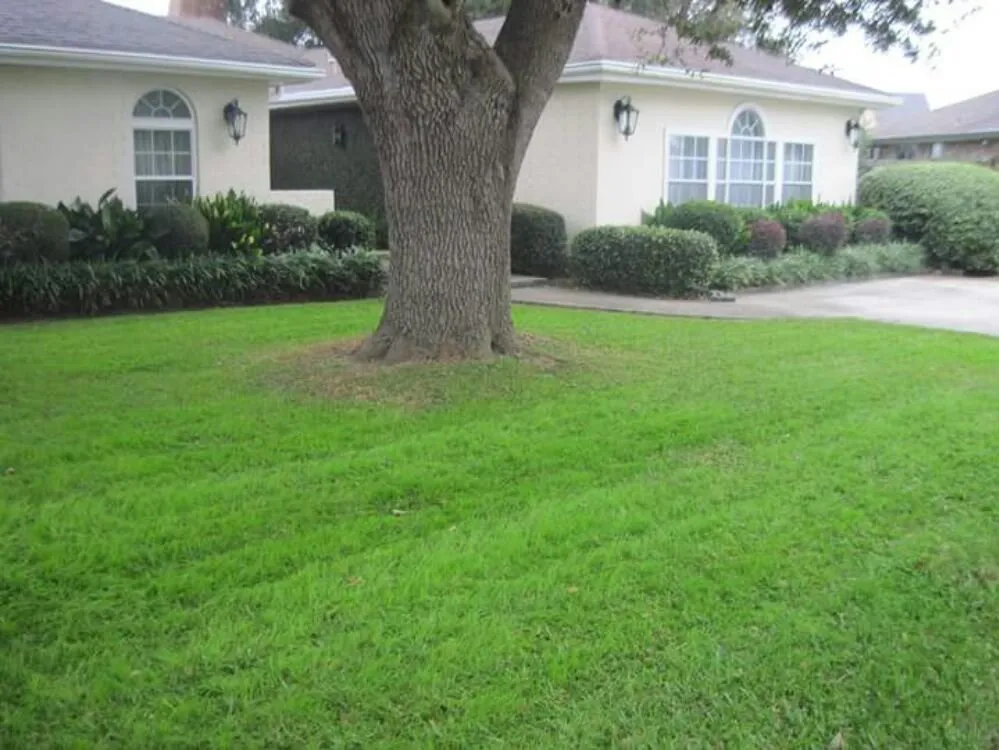 Professional lawn mowing service for homes in New Orleans, LA by Nola landworks