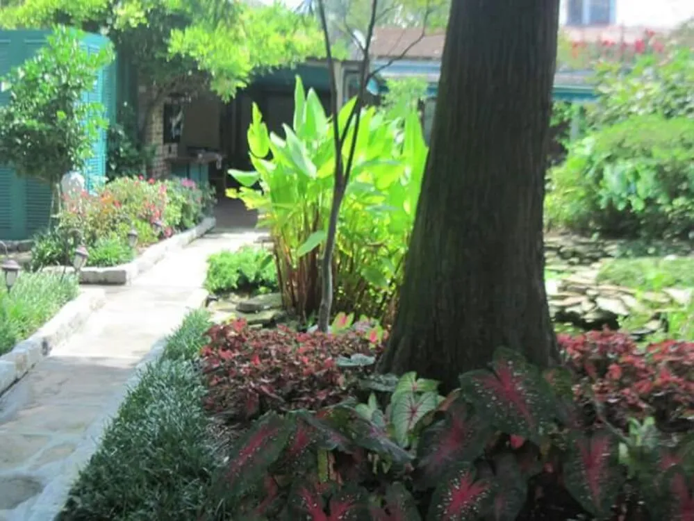 Top-rated landscaping services in New Orleans, LA by Nola landworks