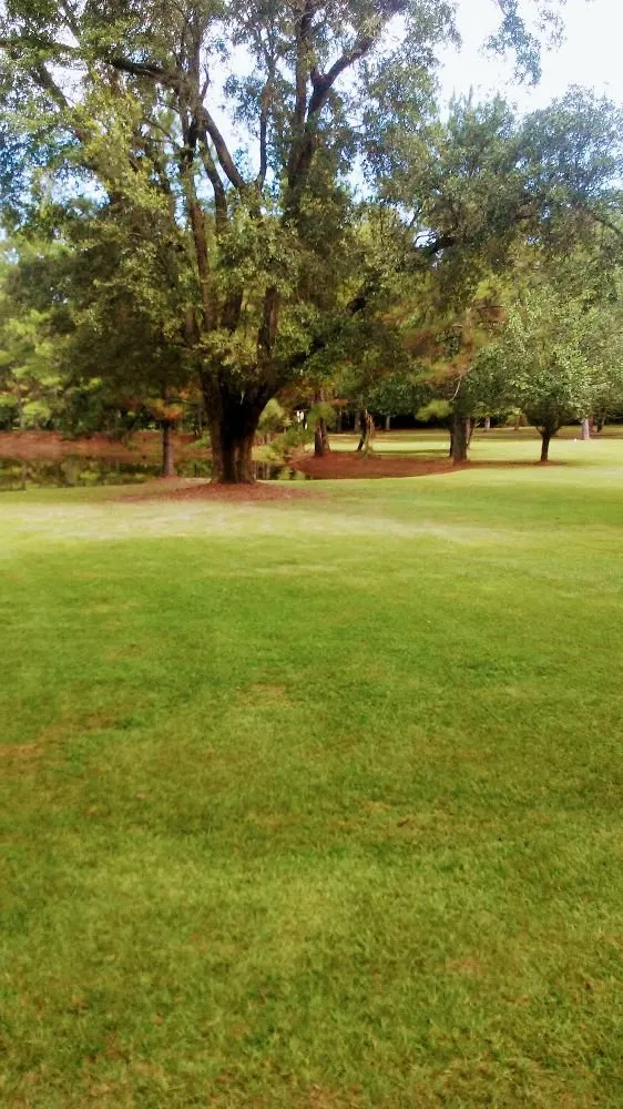 Expert landscaping services for homes across New Orleans, LA - Nola landworks