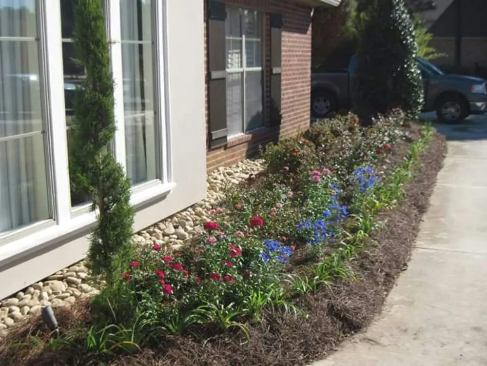 Trusted yard cleanup service experts serving New Orleans, LA - Nola landworks