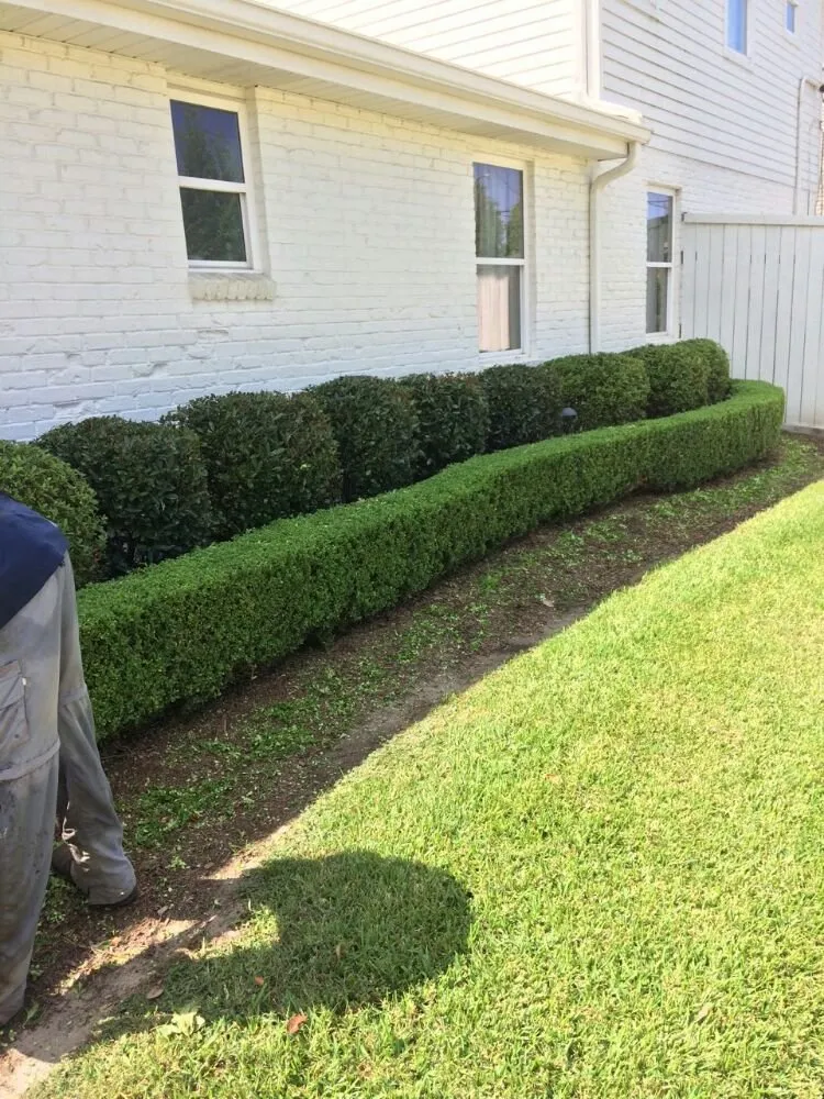 Expert garden landscaping for beautiful yards in New Orleans, LA by Nola landworks