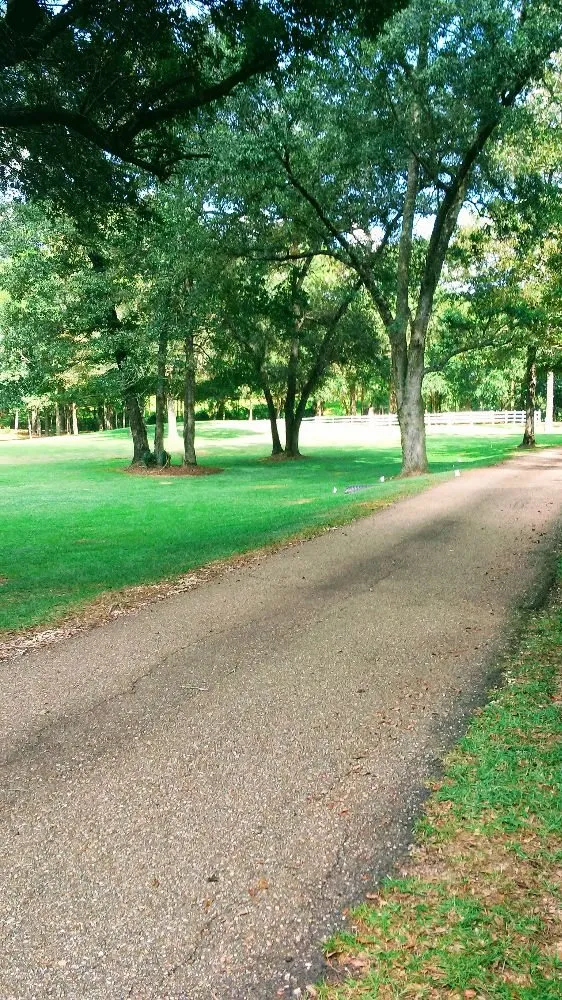 Local yard maintenance near you in New Orleans, LA by Nola landworks