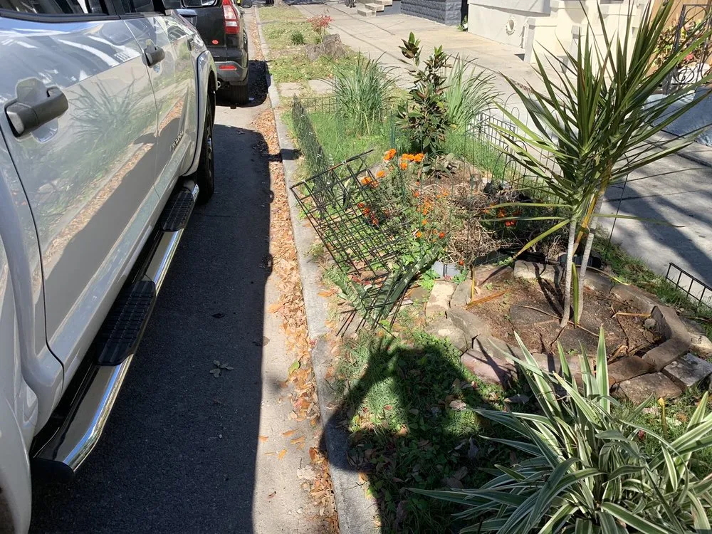 Professional lawn care service experts serving New Orleans, LA - Nola landworks